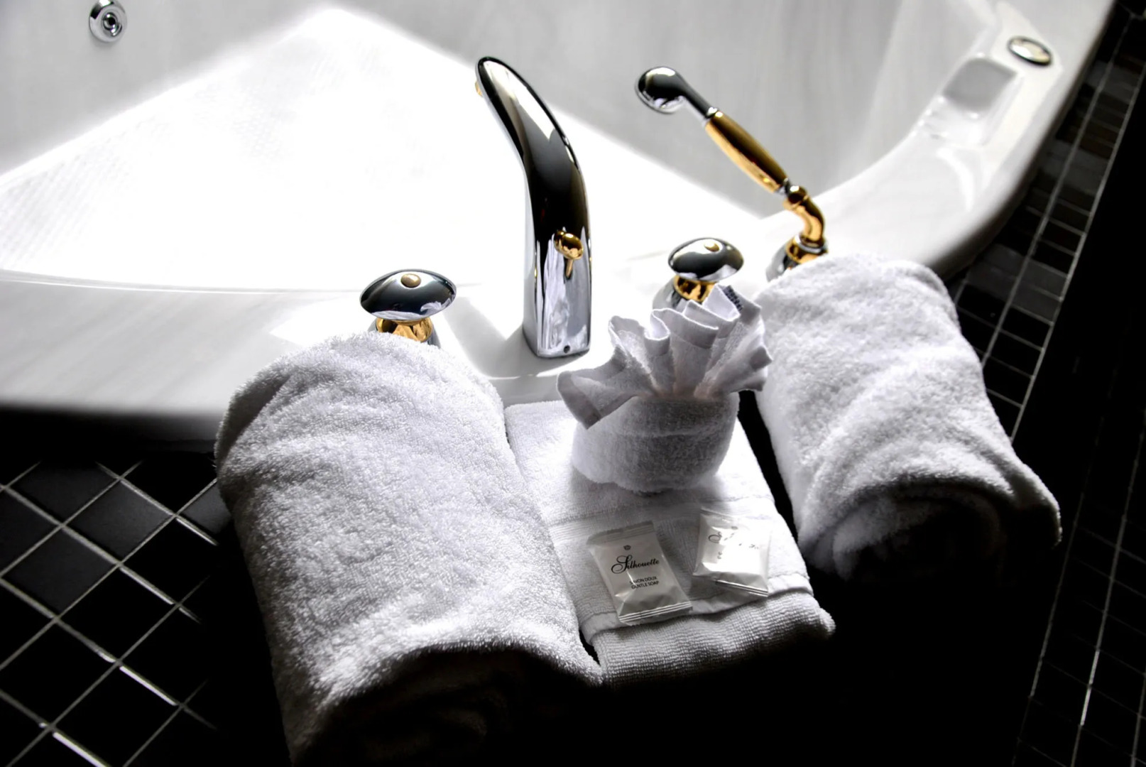 Hôtel Spa Excelsior