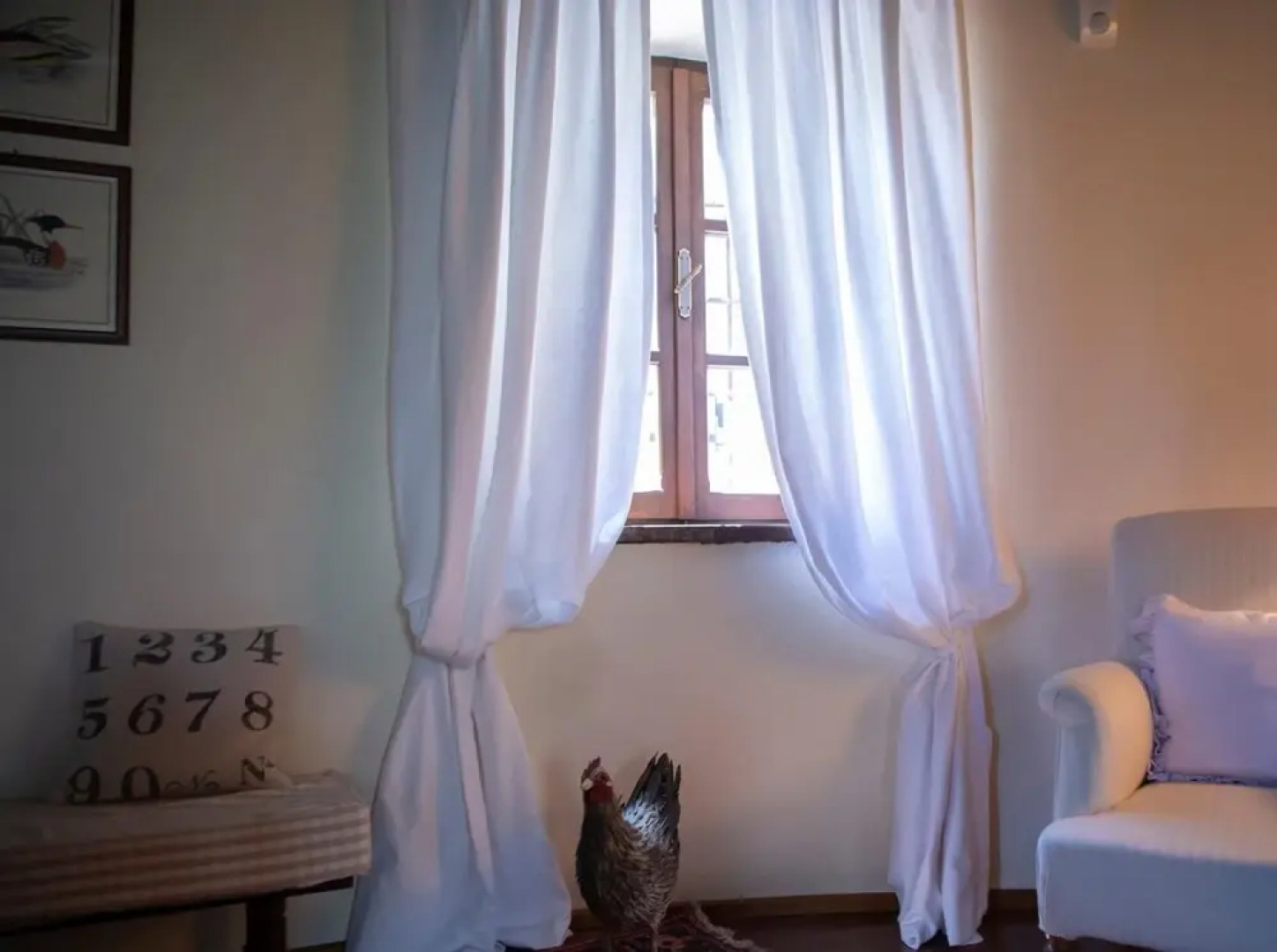 Easy Welcome Villa Margherita - Civenna, Bellagio