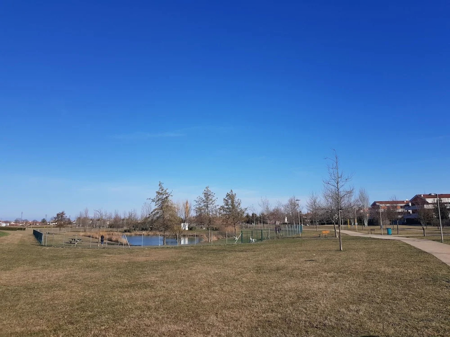 Appartamento Girasole n. 8