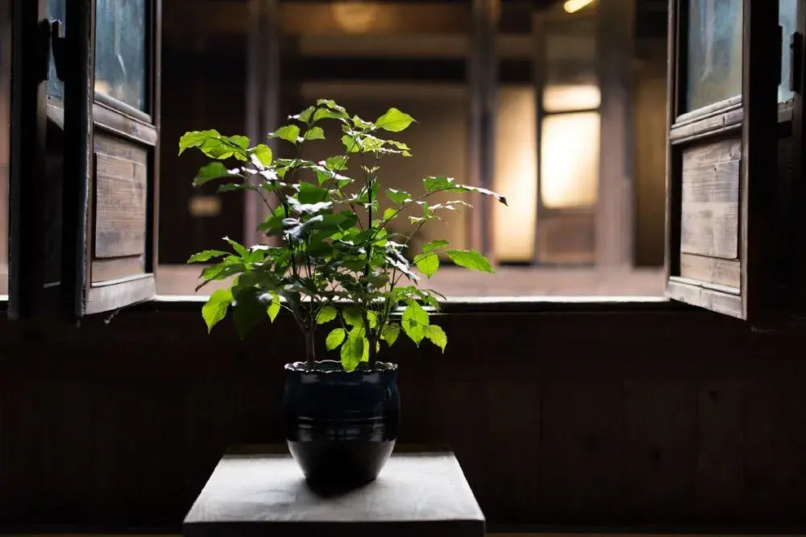 Guzo Su The Old House Boutique Hotel