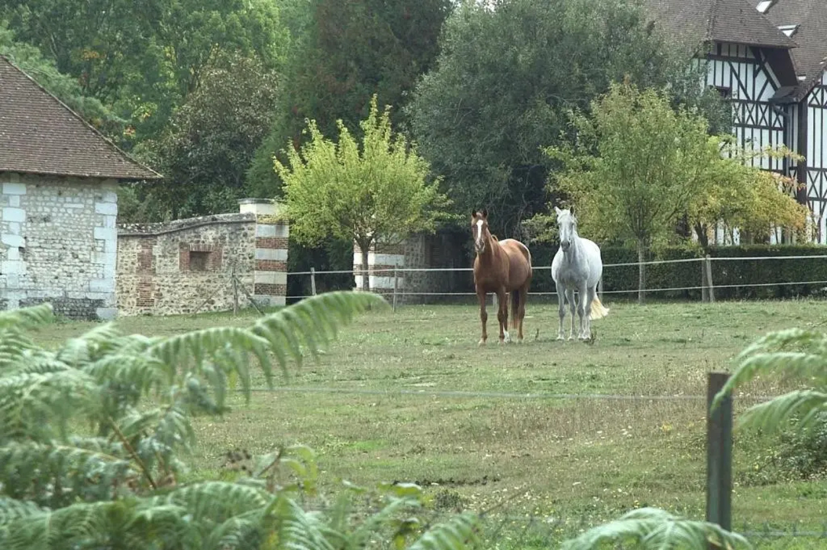 Château dArgeronne "Le Pommier Doux"