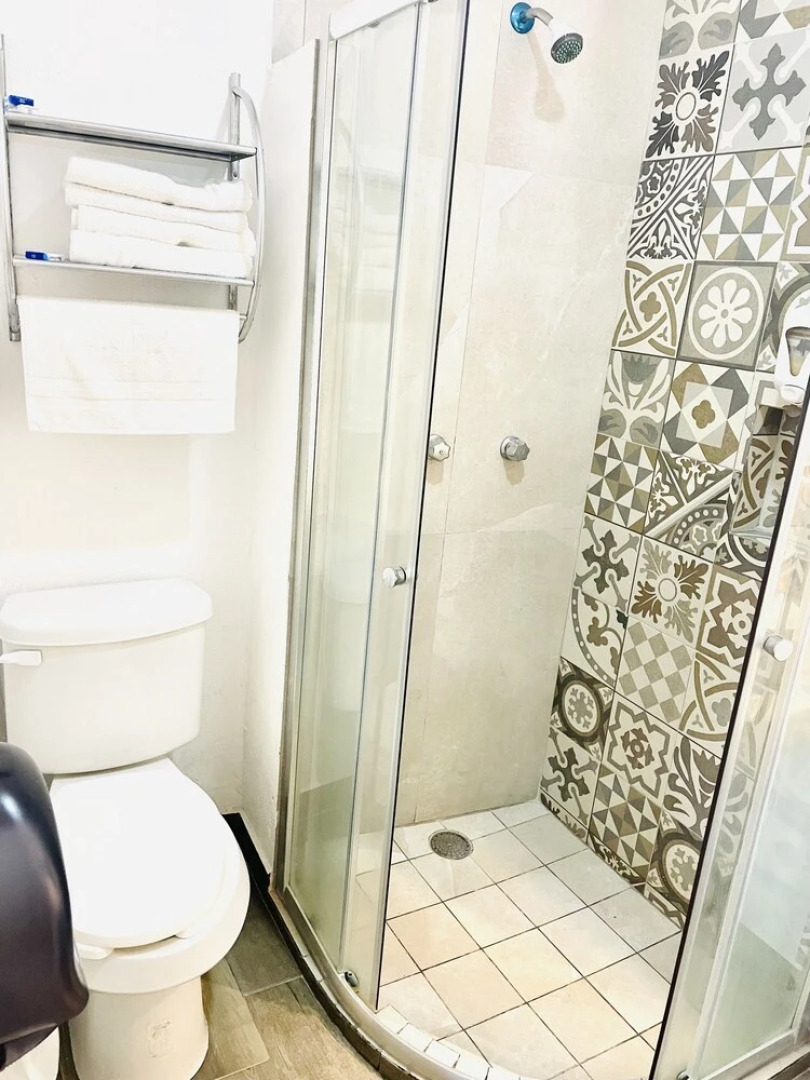 Hotel Alameda de San Jose Iturbide