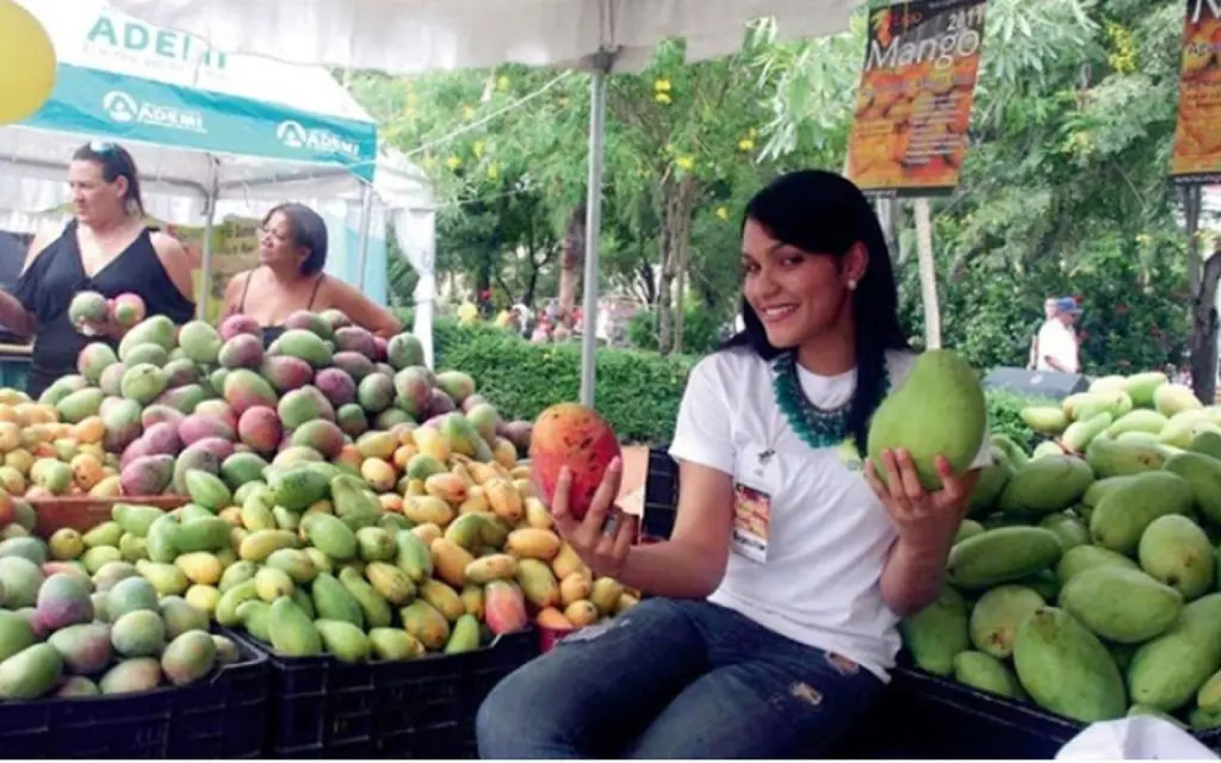 Villa Los Almendros - 2 Private Pools & Tennis & Pickle Ball