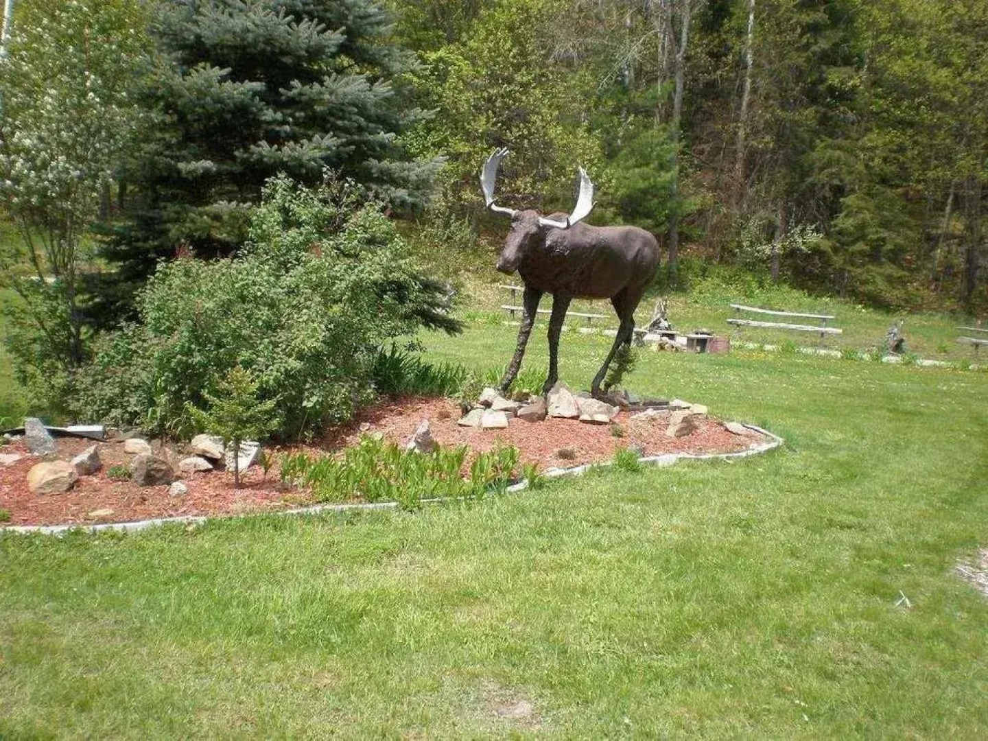 Dwight Riverside Inn