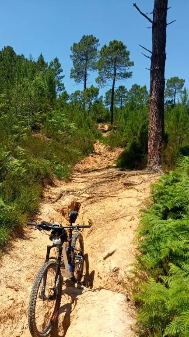 Le Parc - Suite Climatisee (Adults Only)