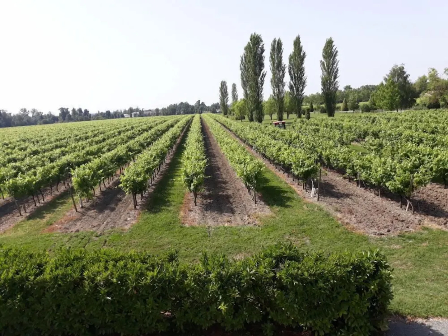 Le Logis Des Bessons