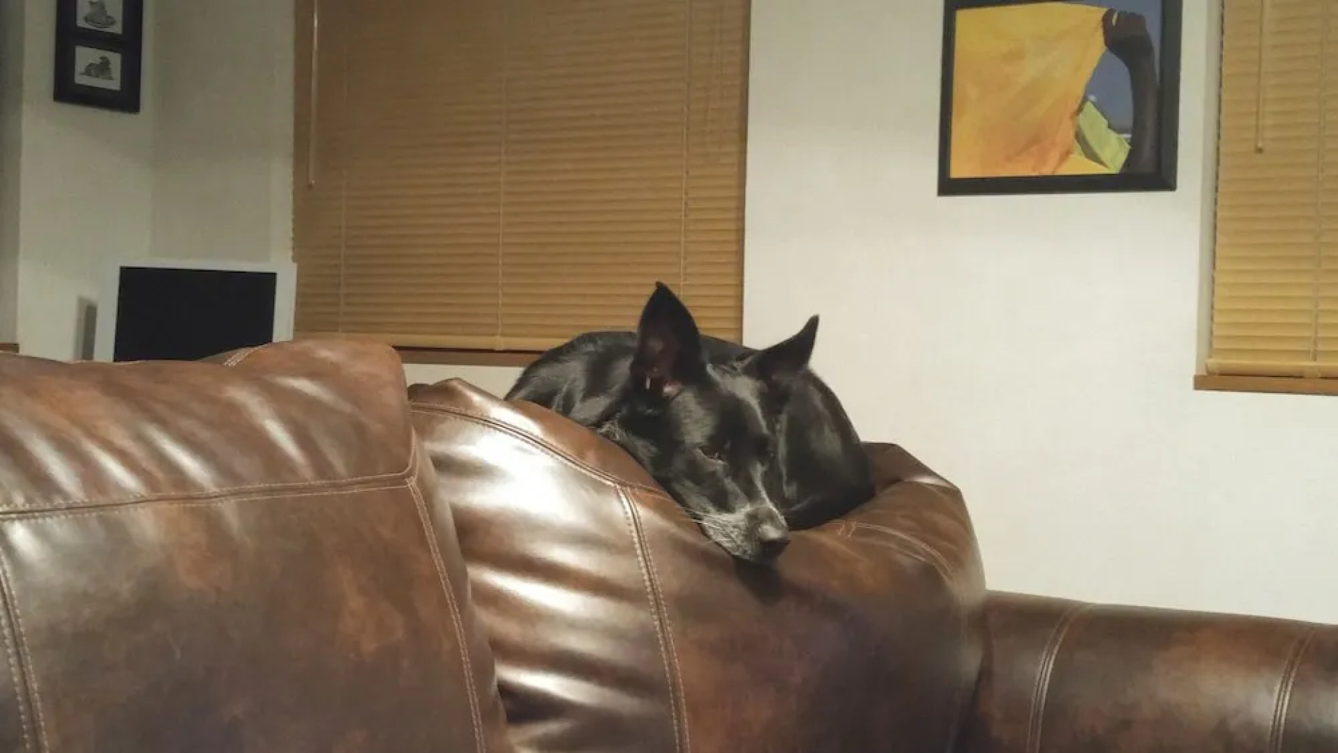 Lofty Living Bud and Breakfast