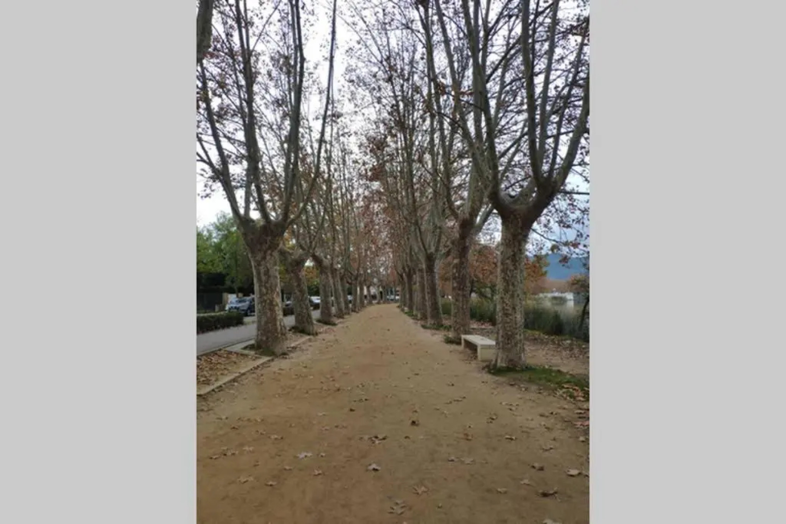 PLAÇA MAJOR 17 2n 1a