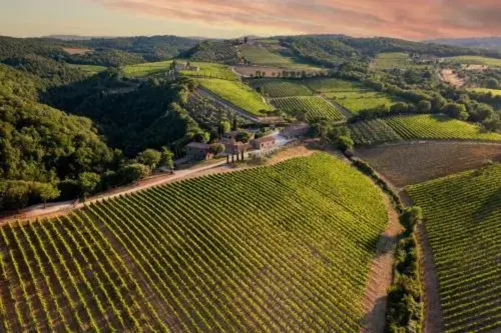Tenuta San Filippo