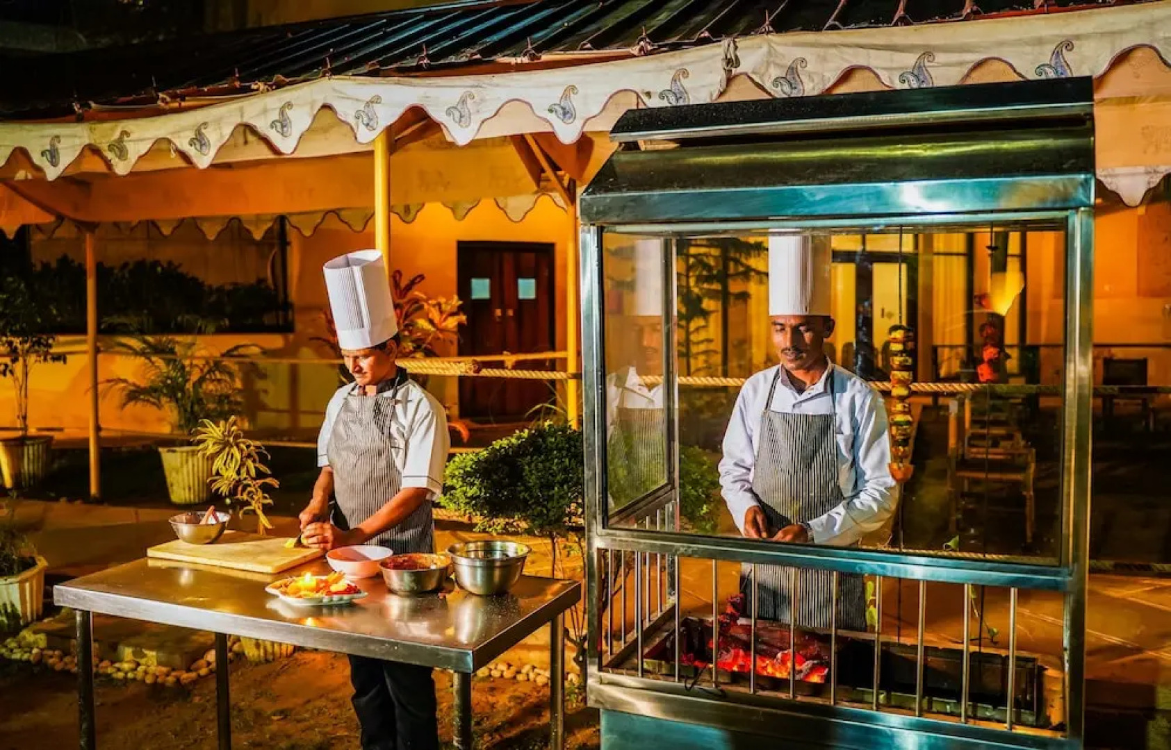 Shani Vilas - Ranthambore