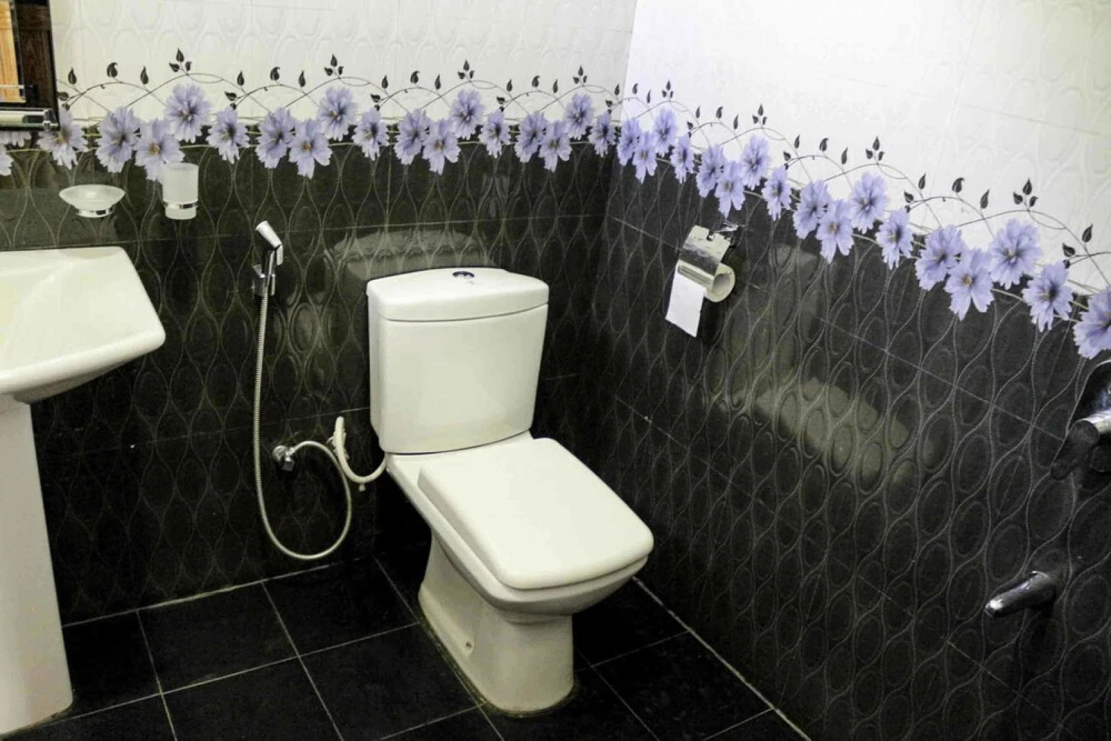 Yoho Rawana Mountain View