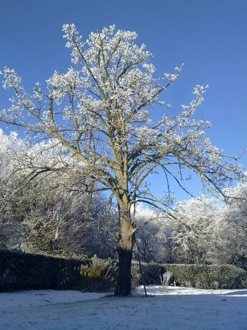 Prospect Guest House