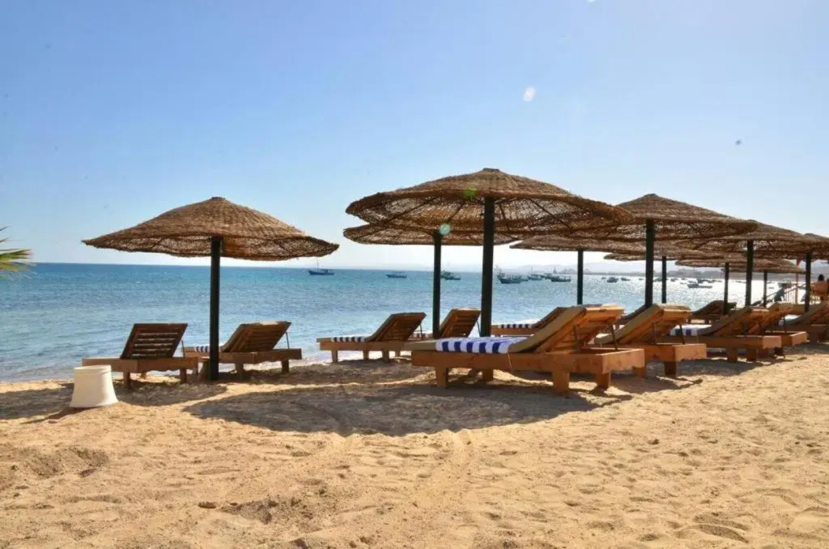 Dolphin Hotel Safaga