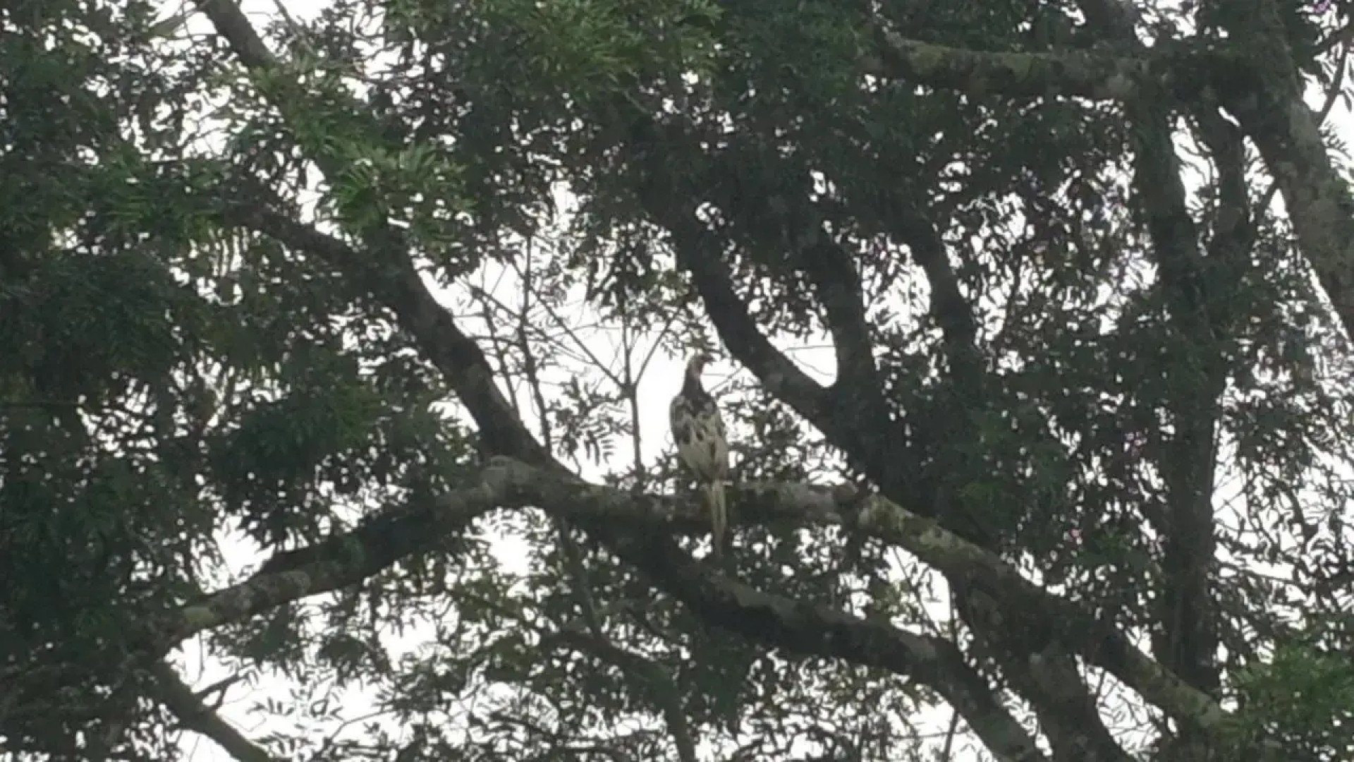 Pousada do Morro Verde