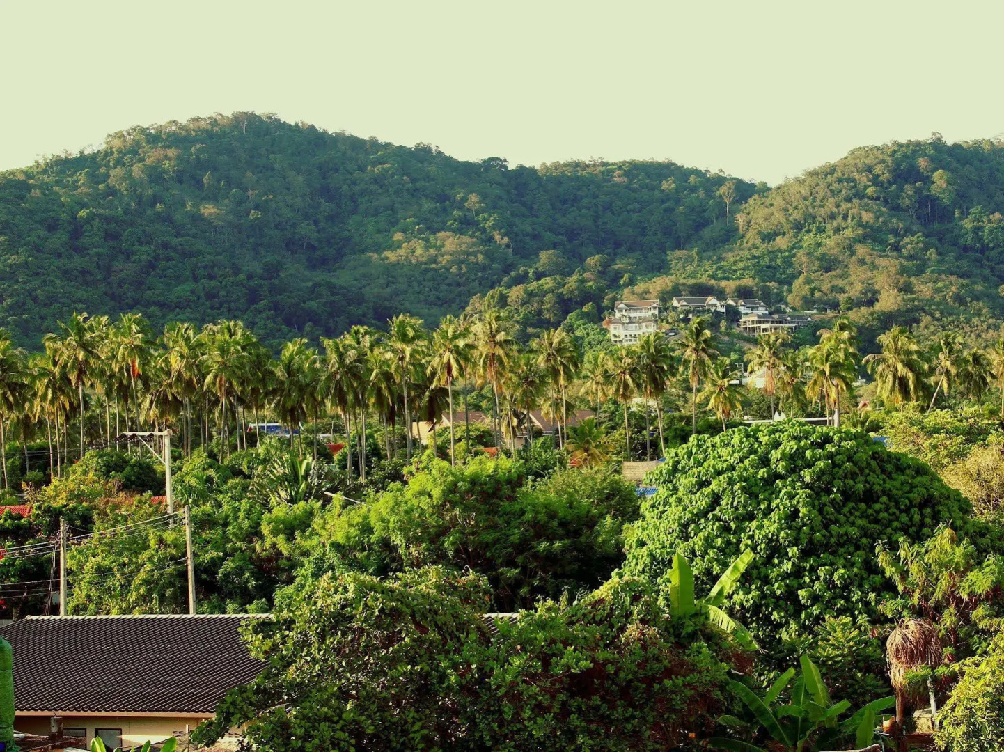 Tropical Sands Guesthouse