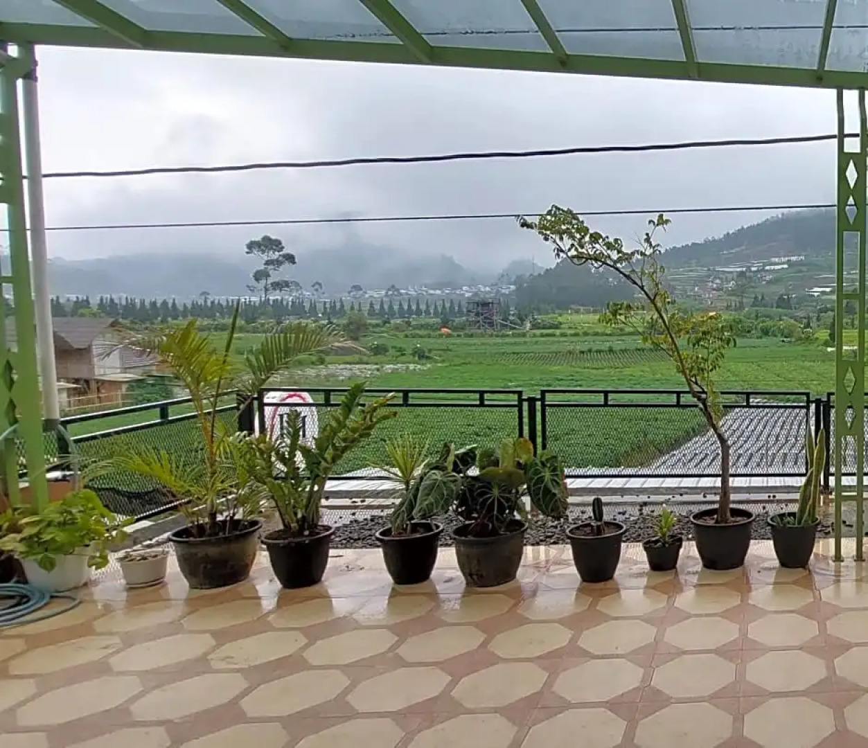 Rose House Dieng by Luxury Degree