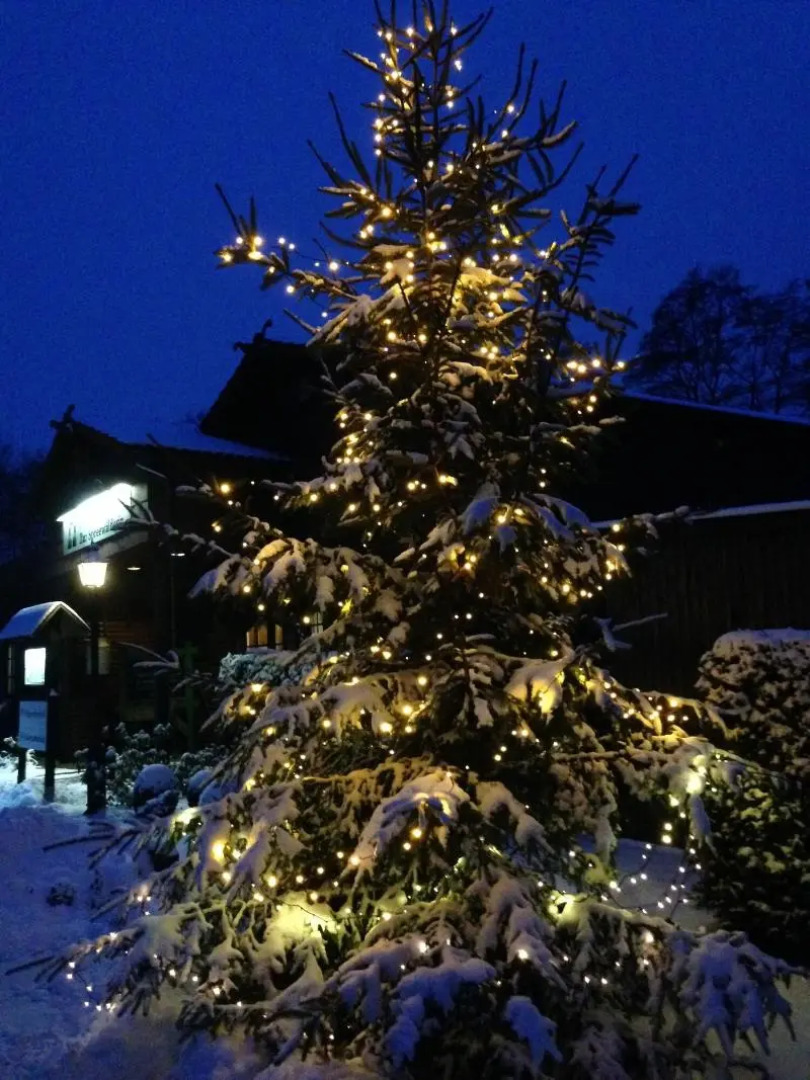 Hotel & Restaurant Zur Spreewälderin