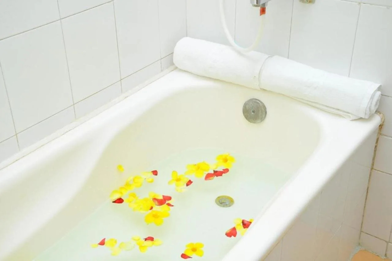 TTC Resort Premium Doc Let