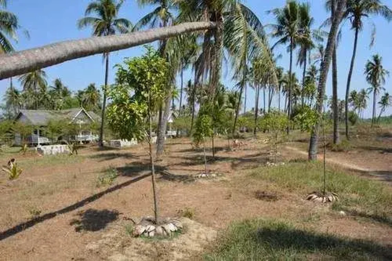 Orchid Adventure Shore Resort