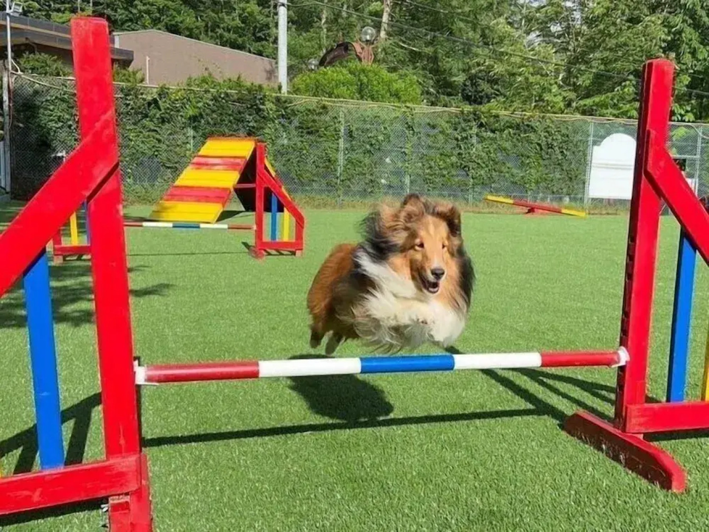 Izumigo Yatsugatake Dog Paradise Cottage