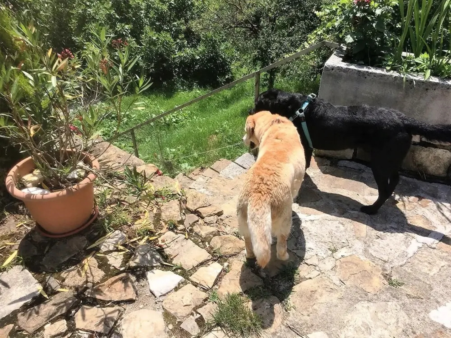 Ruine Gartenresidenz