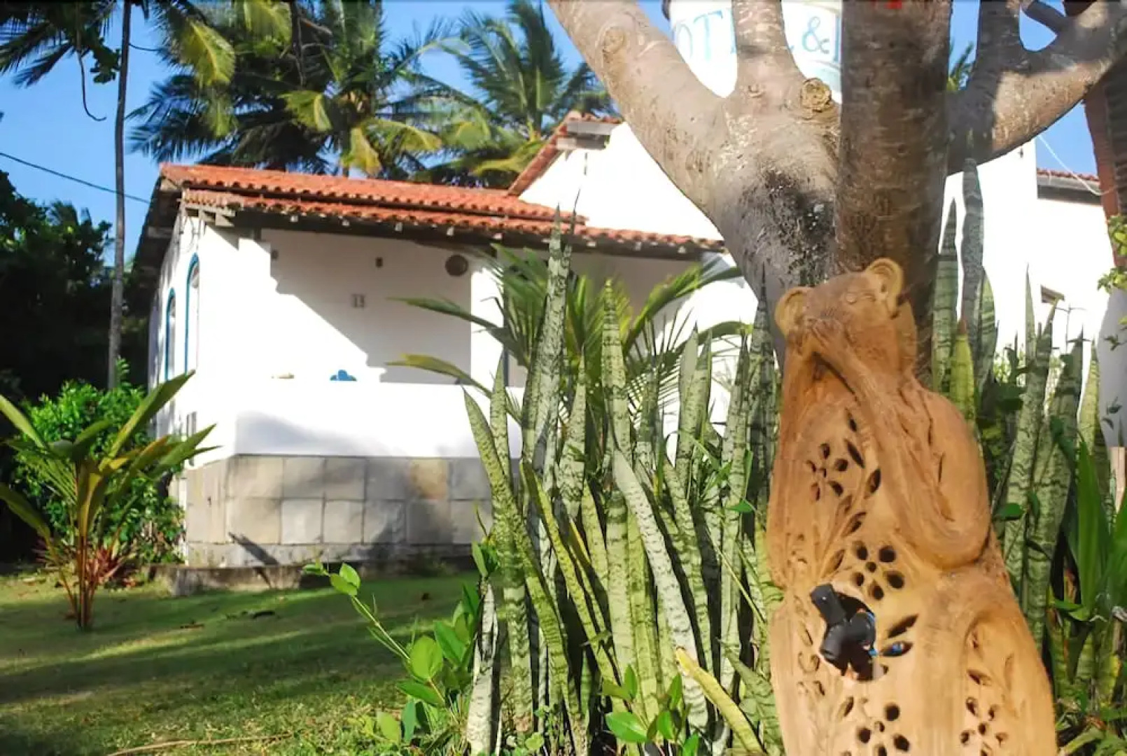 Alma Tropical Resort