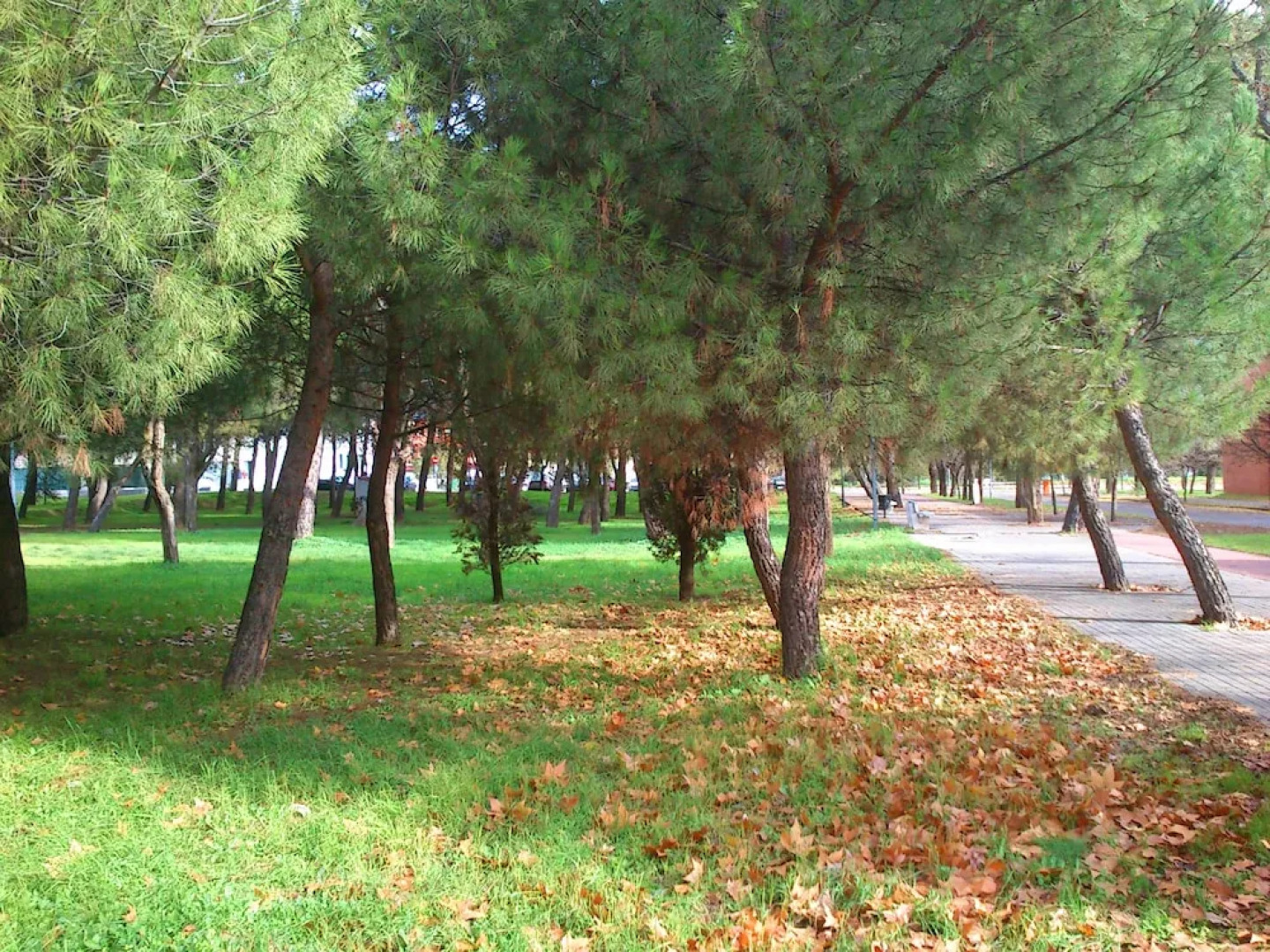 Residencia Universitaria Resa Giner de los Ríos - Hostel