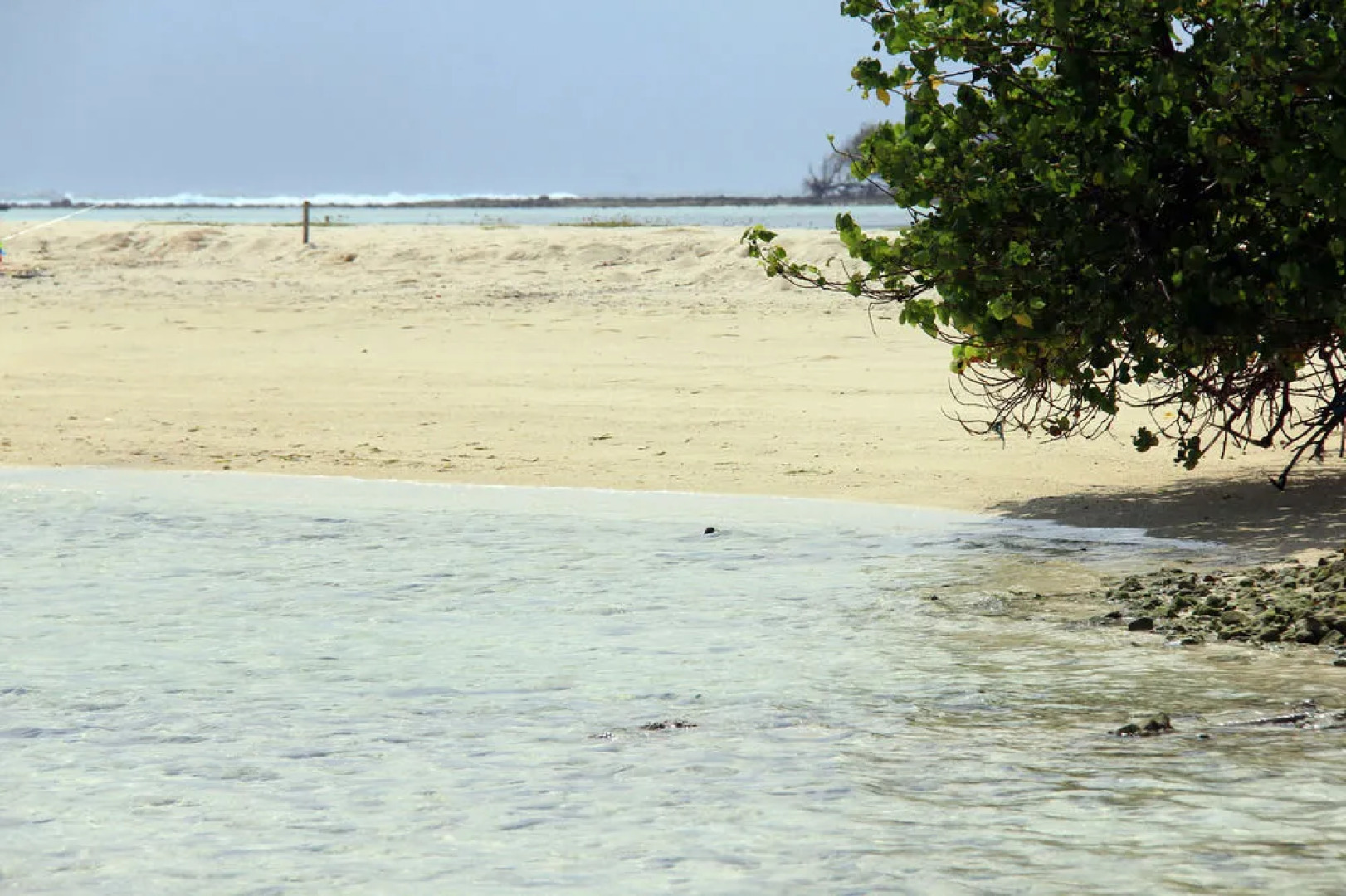 Rip Tide Vacation Inn