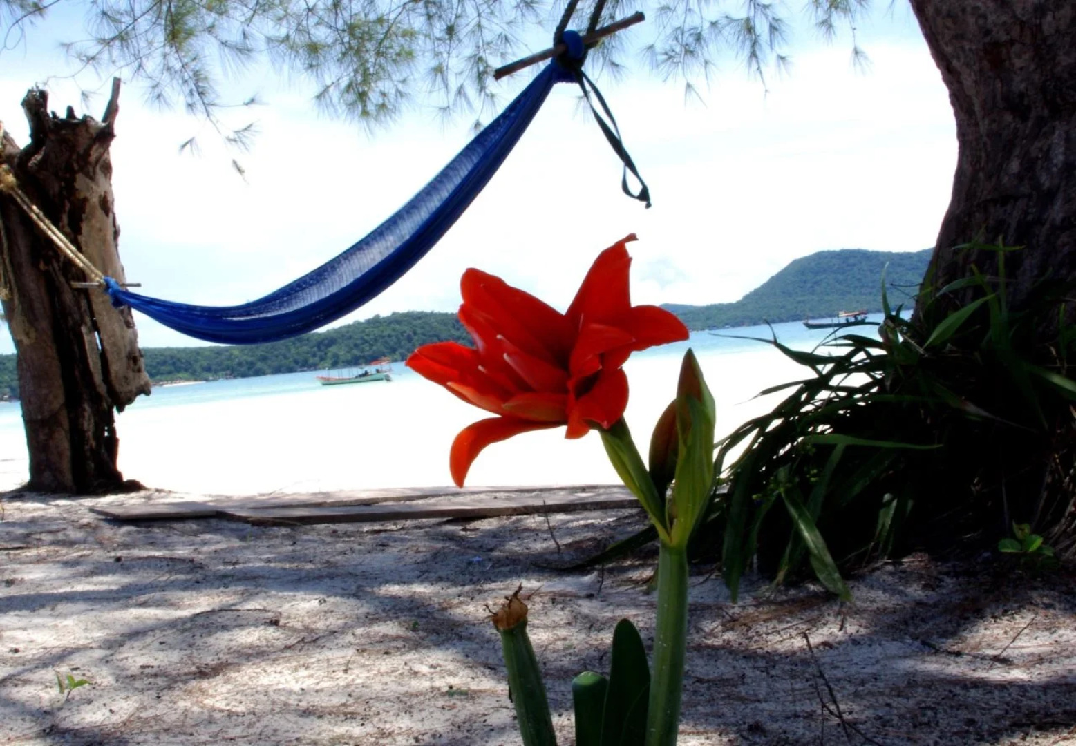 Secret Paradise Resort