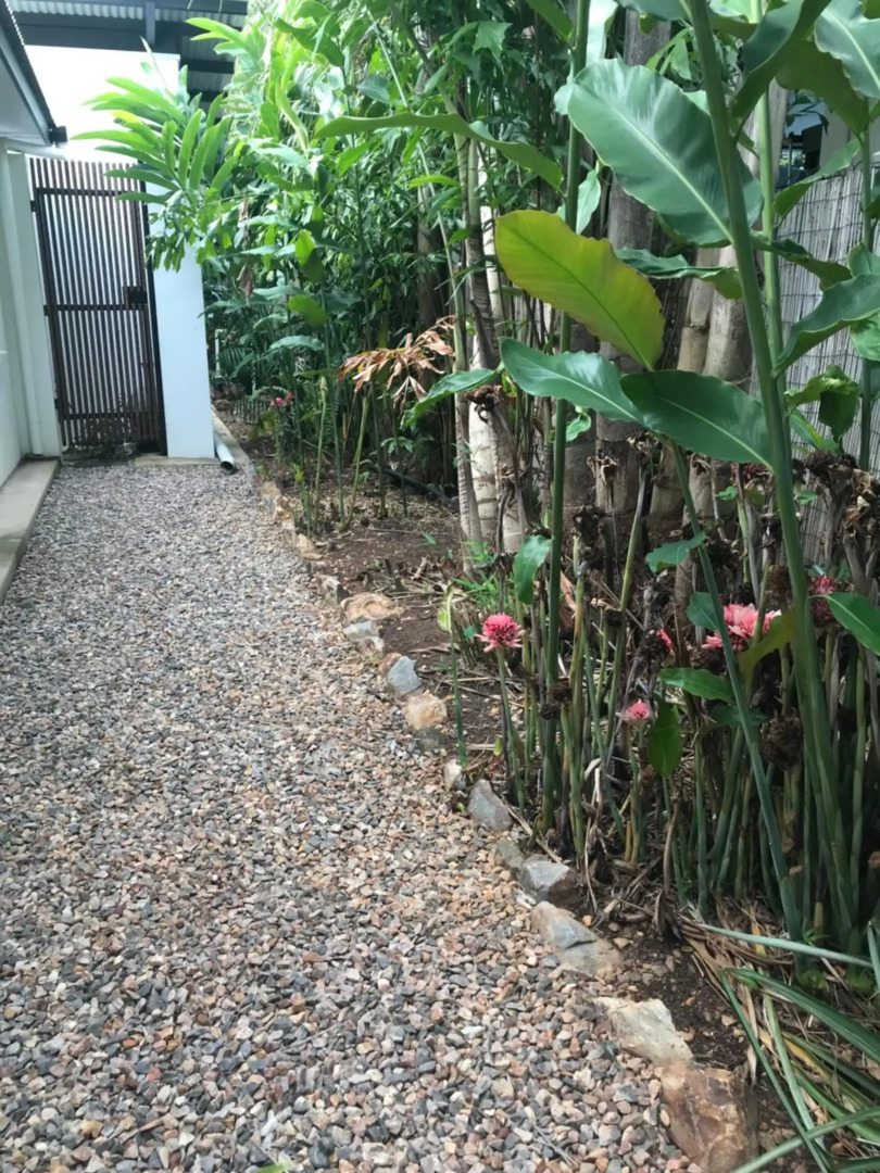 The Tropical Sanctuary