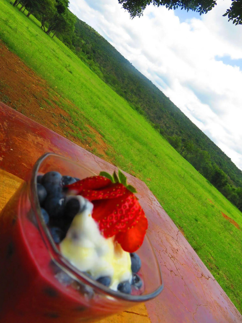 Zebras Crossing Lodge