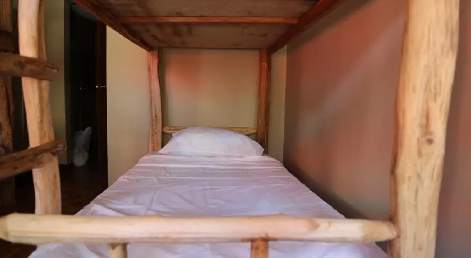 Golden Frog Hostel