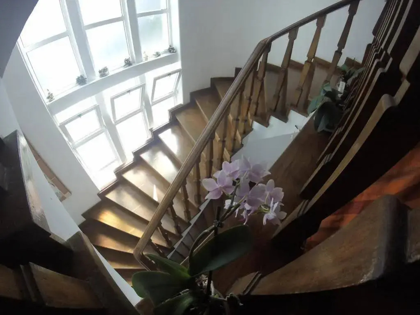 S. Jose Algarve Hostel