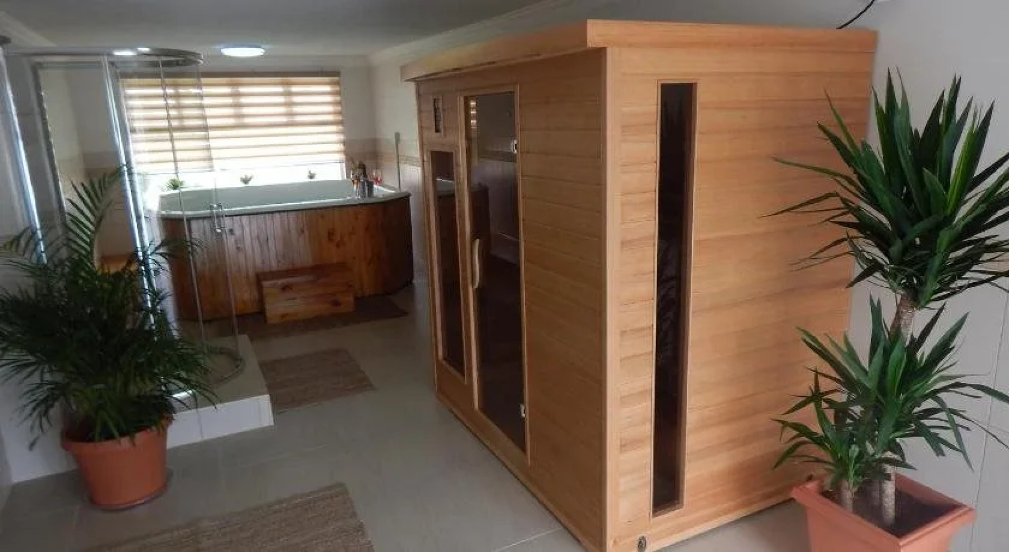 First Group Desert Rose