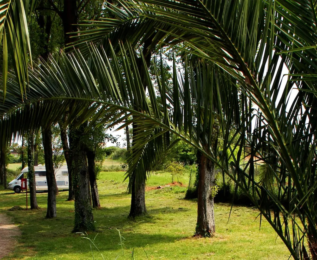 Parque de Campismo Orbitur Angeiras