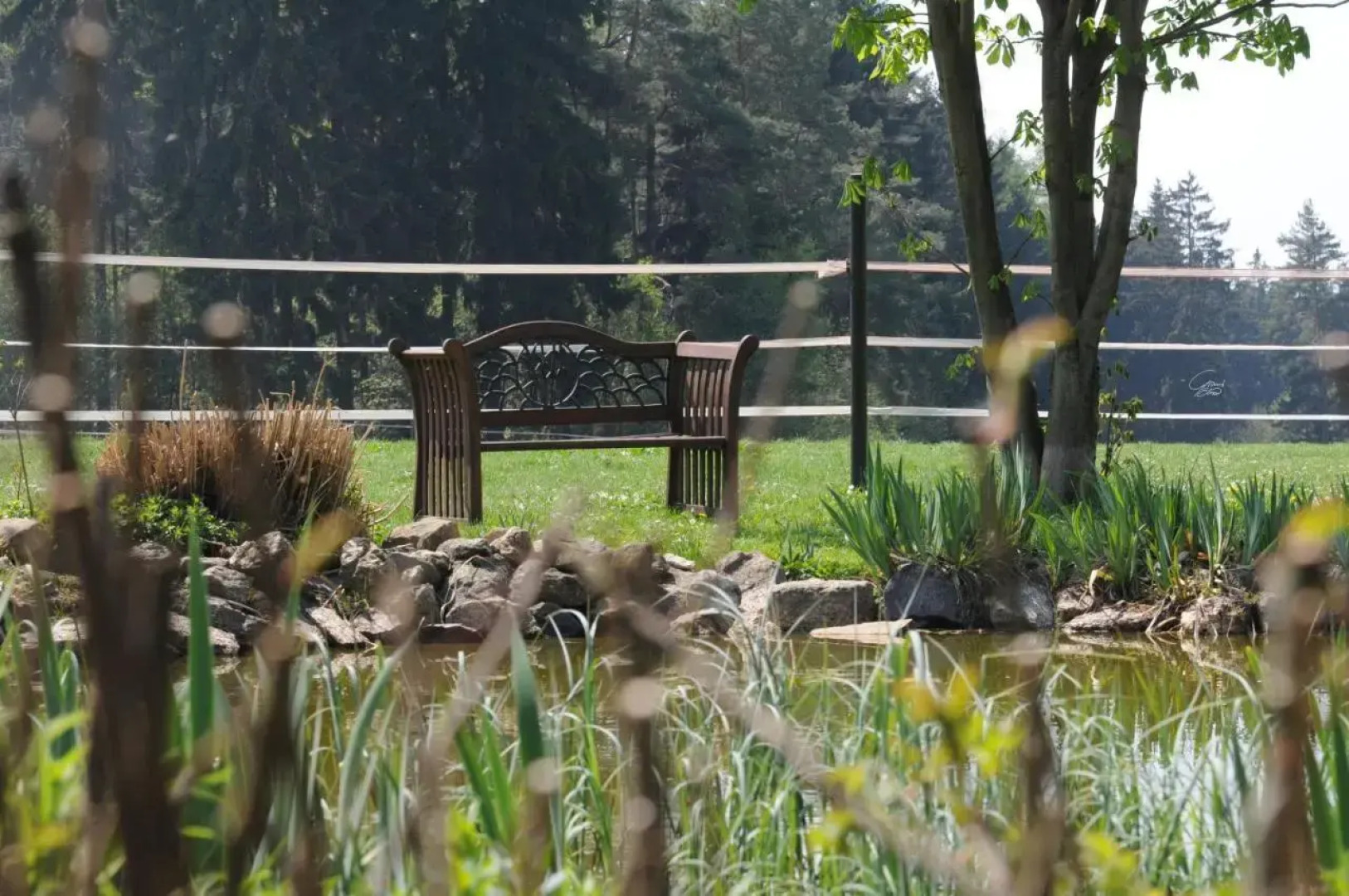 Ferienwohnung Weidner