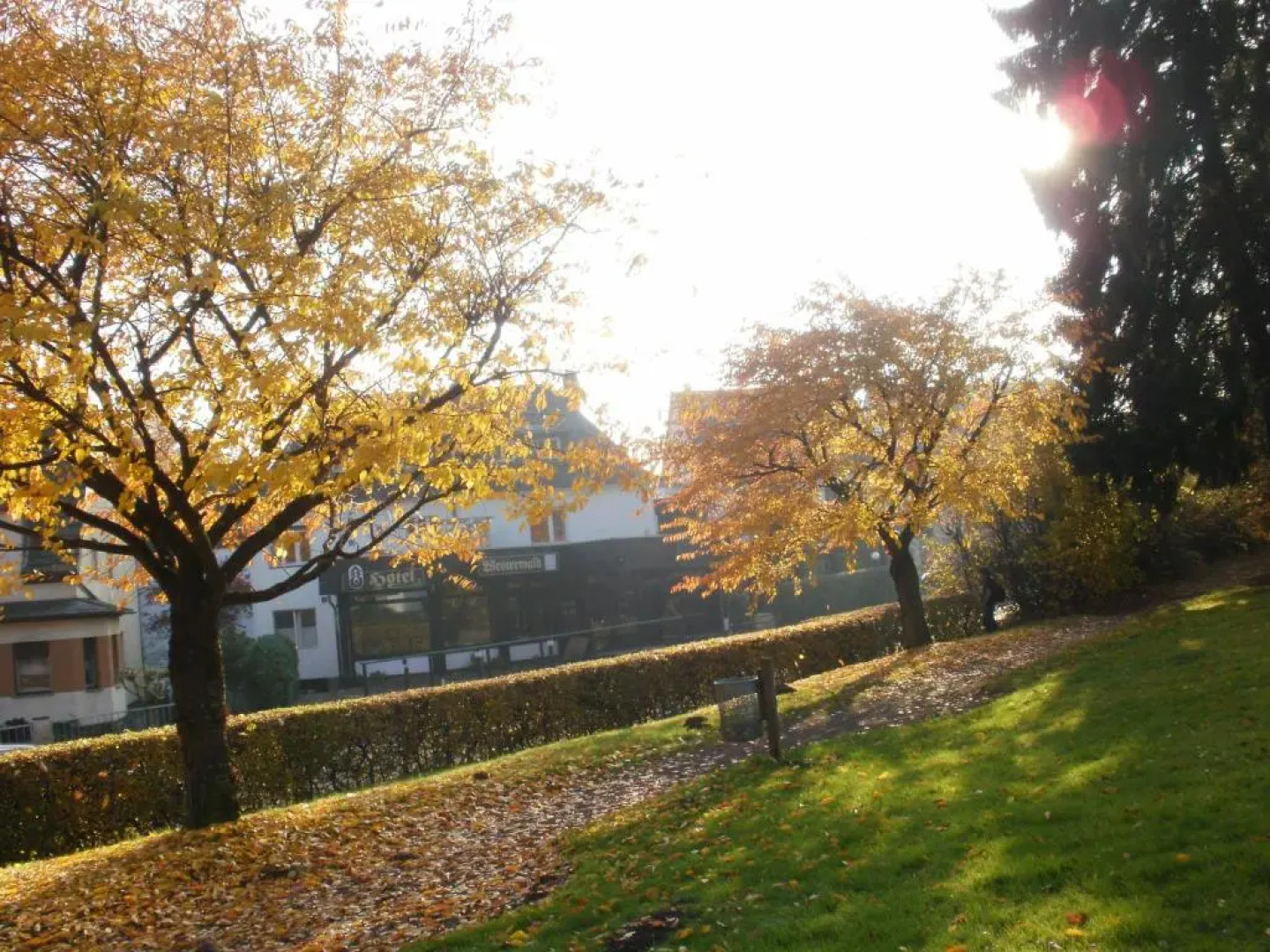 Landhotel Westerwald Restaurant Café