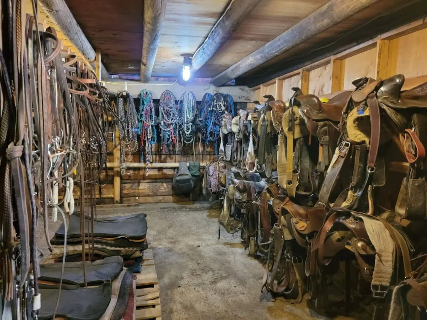 Bear Creek Guest Ranch