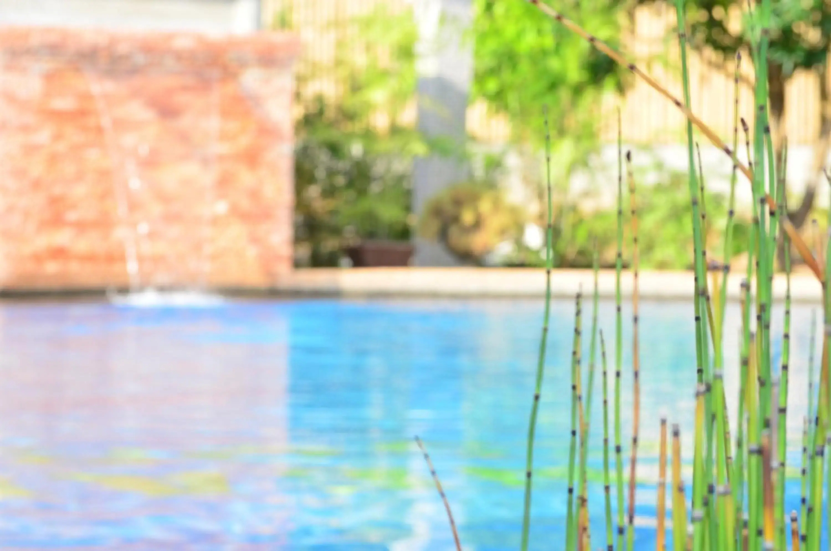 Veraneante Resort
