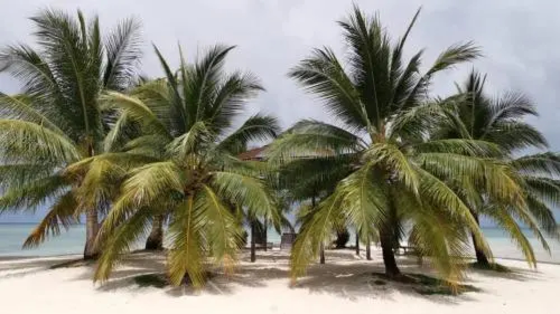 Sipadan Kapalai Dive Resort