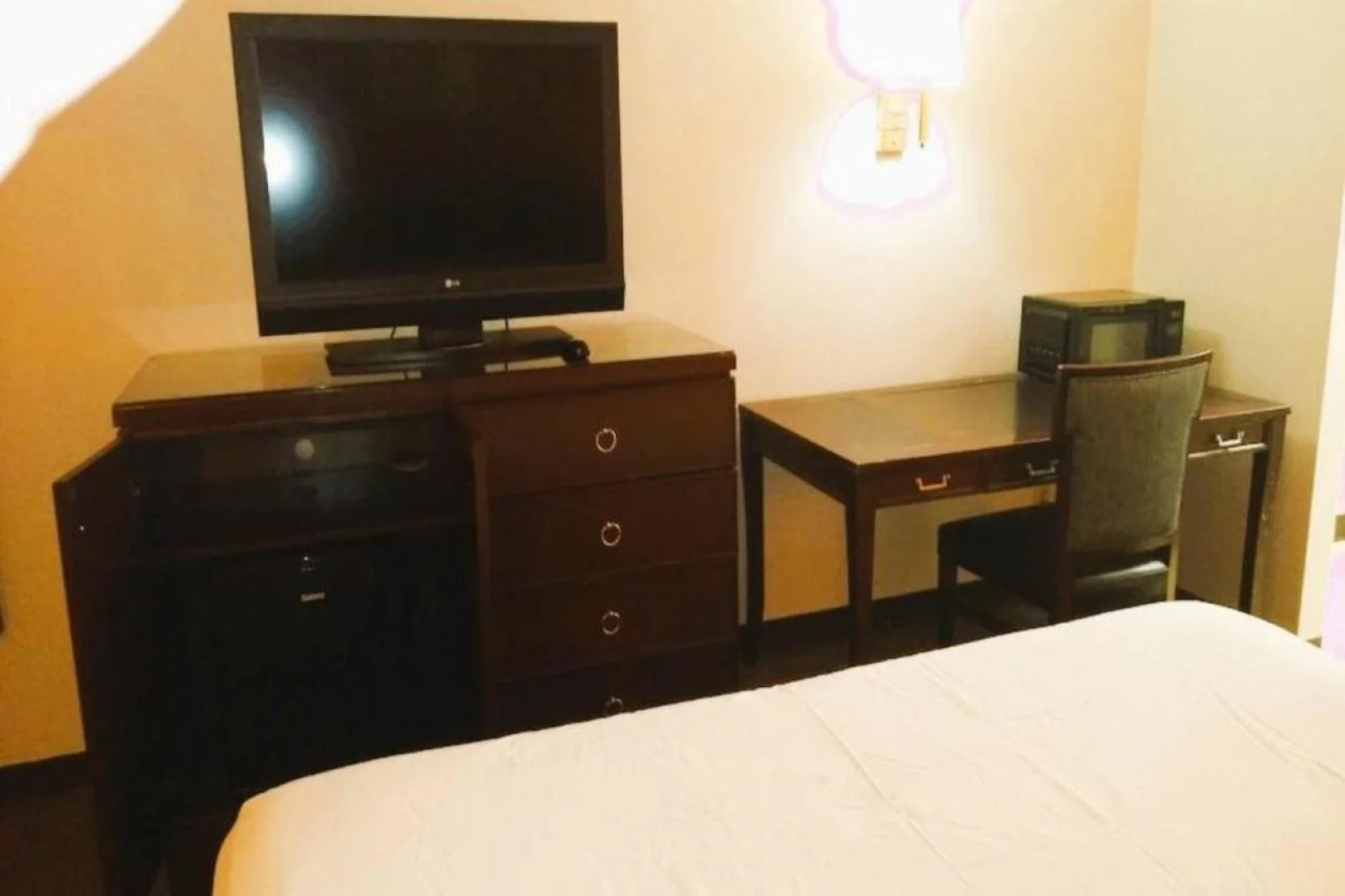 OYO Hotel McIntyre GA, US 441