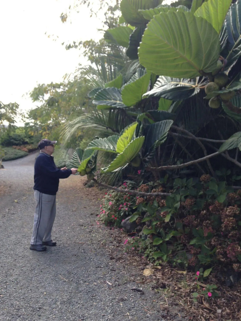 Chelsea House Bed & Breakfast