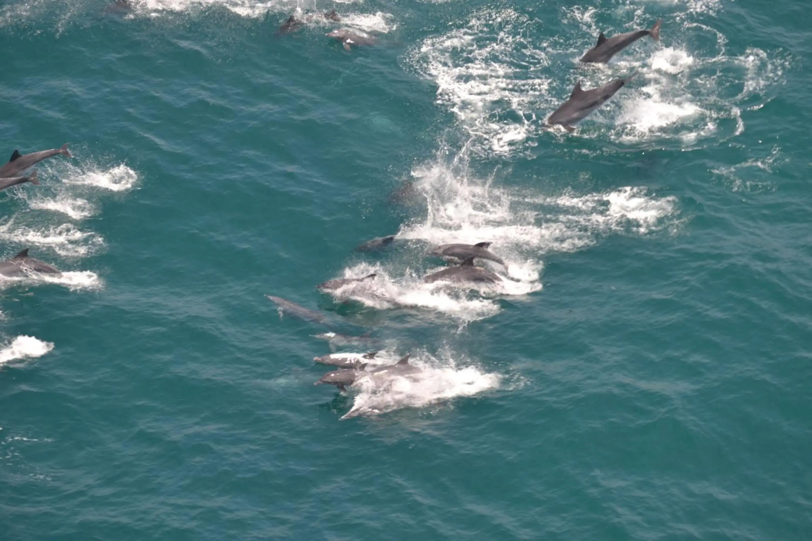 Apartment Marichel 4