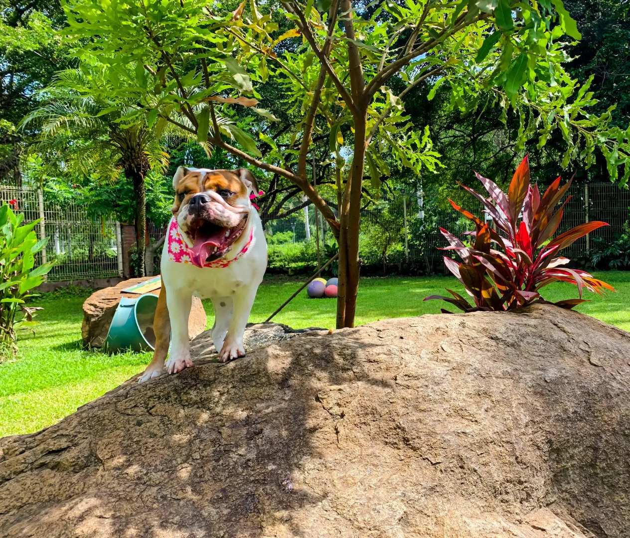 Puerto de Luna Pet Friendly & Family Suites Hotel