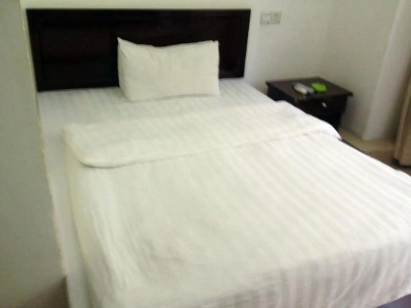 Happy Migratory Bird Family Hostel