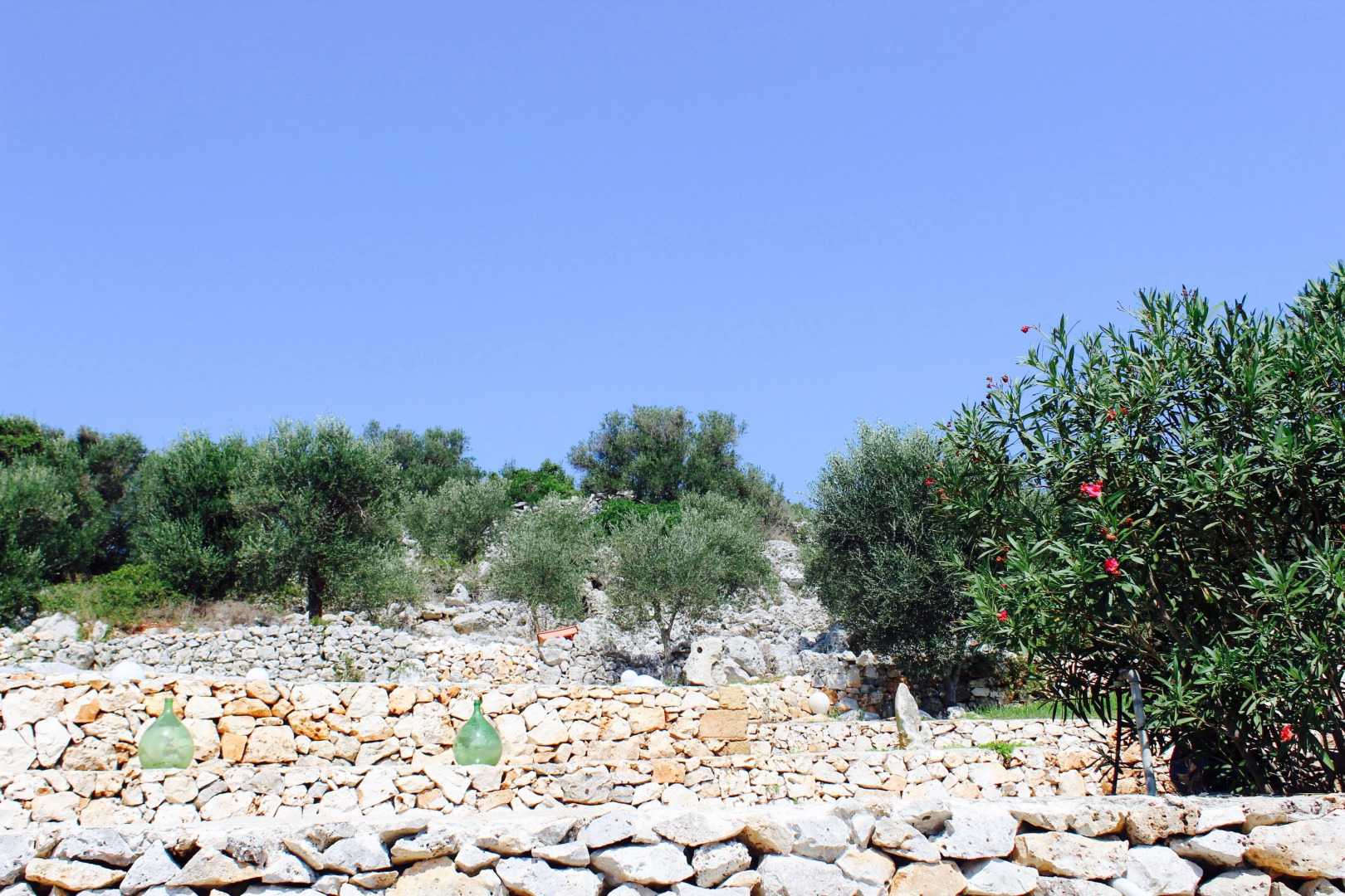 Amoru Bed & Breakfast