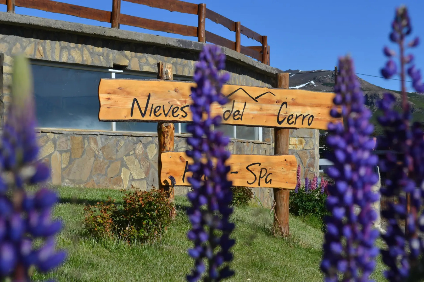 Hotel Spa Nieves Del Cerro