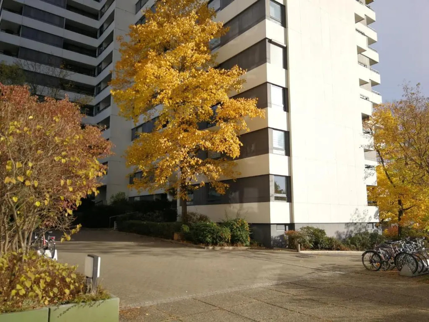 Central-Apt at Lake, CityCenter 5min, Fair 18min!!!