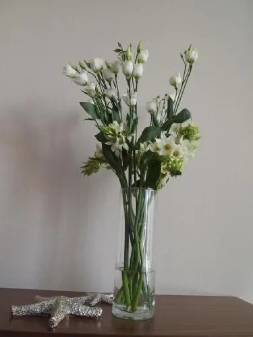 Wohnung 10 Haus Oldenburg