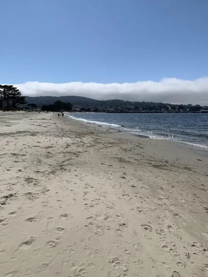 Monterey Oceanside Inn